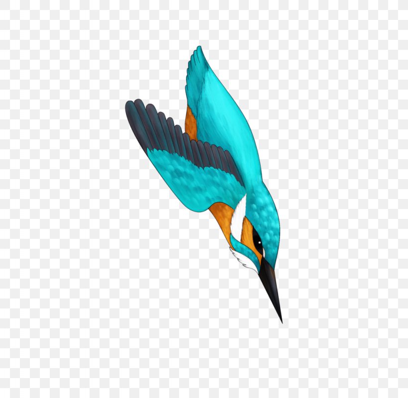 Bird Turquoise Teal Feather Beak, PNG, 1024x1000px, Bird, Beak, Feather, Organism, Teal Download Free