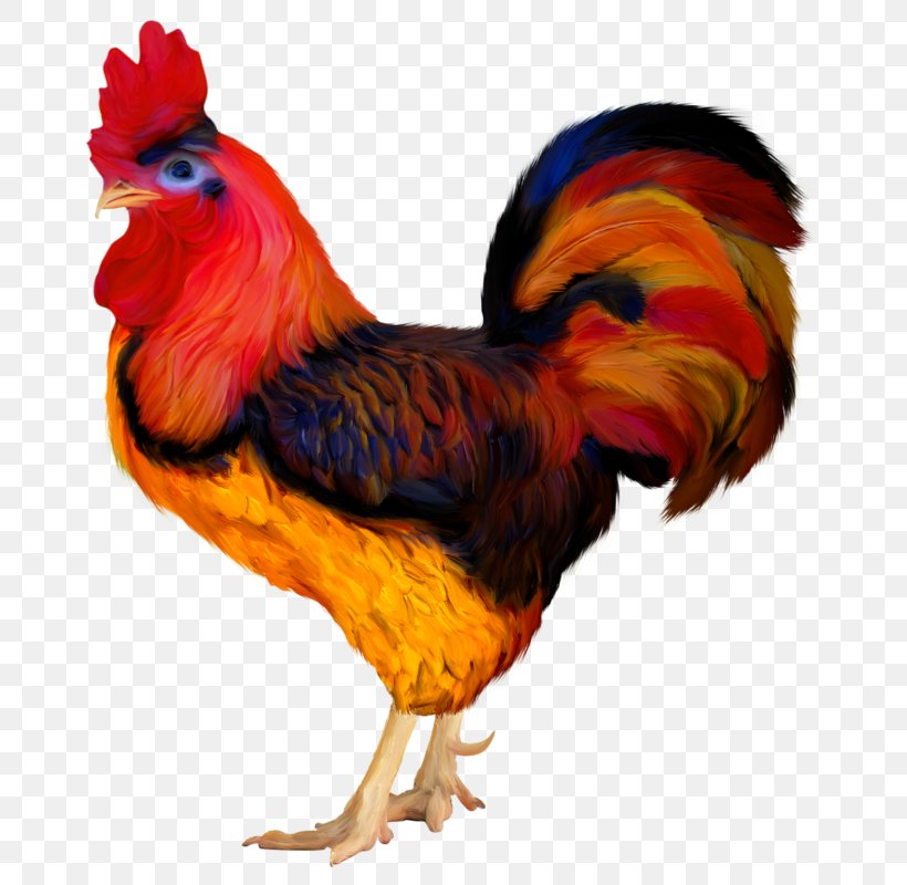 Chicken Rooster Clip Art Bird, PNG, 734x800px, Chicken, Animal, Bauernhof, Beak, Bird Download Free