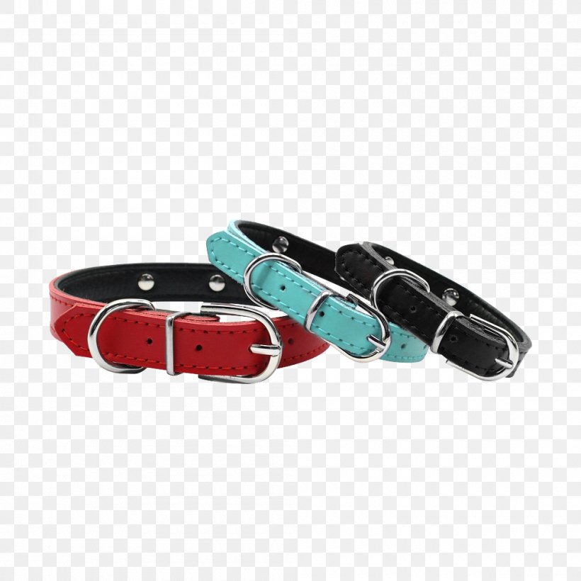 Dog Collar Puppy Cat, PNG, 1000x1000px, Dog, Belt, Belt Buckle, Buckle, Cat Download Free