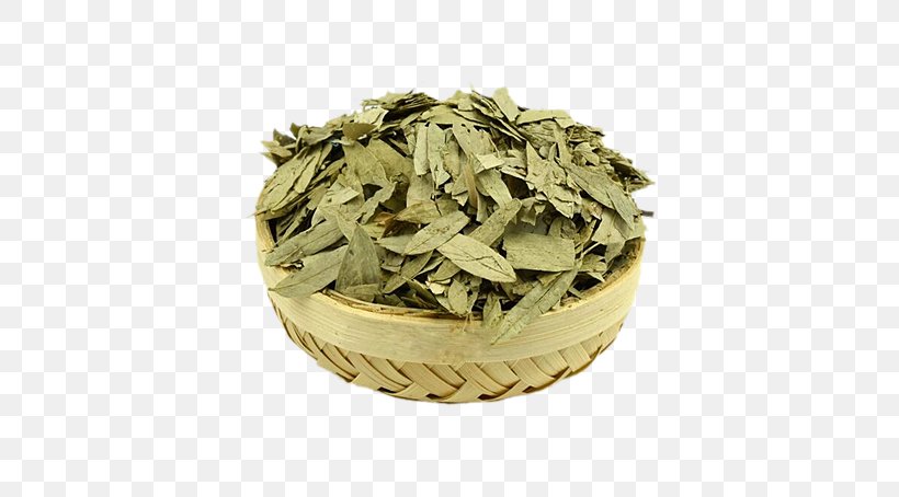 Herbal Tea Senna Glycoside Laxative Crude Drug, PNG, 605x454px, Tea, Alexandrian Senna, Bancha, Chinese Herbology, Constipation Download Free
