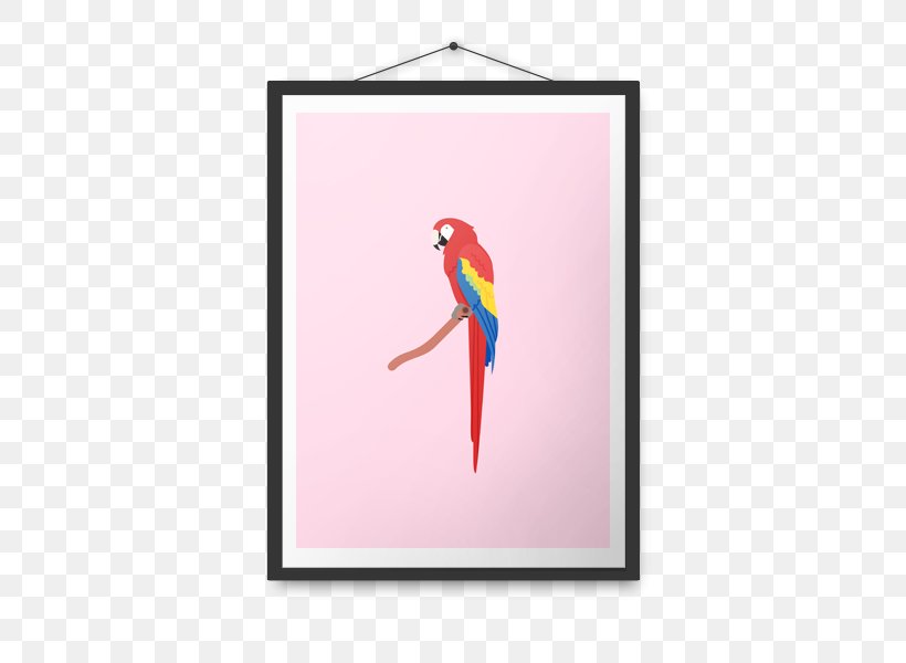 Macaw Parrot Beak Penguin Visual Arts, PNG, 500x600px, Macaw, Animal, Beak, Bird, Feather Download Free
