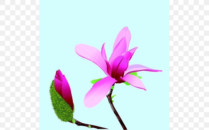 Pink Flower Cartoon, PNG, 509x510px, Painting, Drawing, Flower, Herbaceous Plant, Magenta Download Free