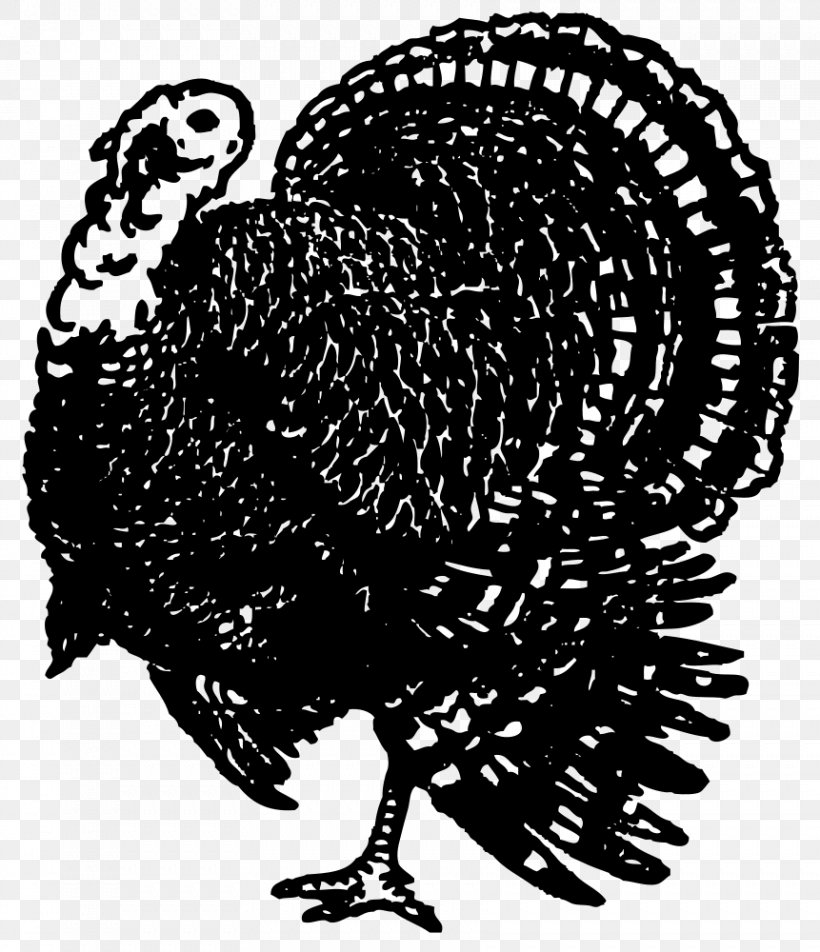 Rooster Chicken Clip Art, PNG, 861x1000px, Rooster, Beak, Bird, Black And White, Chicken Download Free