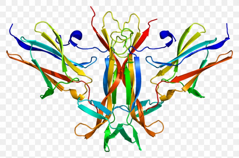 Tropomyosin Receptor Kinase B Brain-derived Neurotrophic Factor Neurotrophin Trk Receptor, PNG, 980x652px, Watercolor, Cartoon, Flower, Frame, Heart Download Free