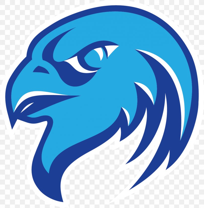 Atlanta Falcons Logo, PNG, 1078x1097px, Atlanta Falcons, Beak, Dolphin, Falcon, Fictional Character Download Free