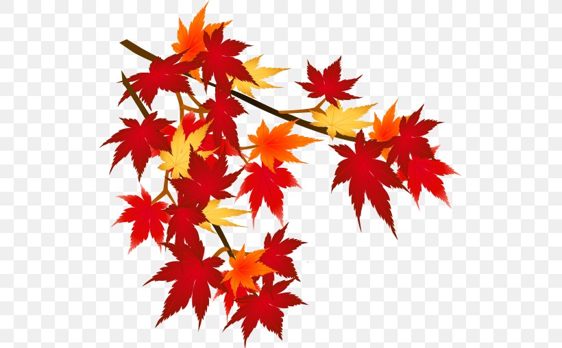 Autumn Leaf Color Mount Akagi Season, PNG, 530x508px, Autumn Leaf Color, Atmospheric Temperature, Autumn, Festival, Flowering Plant Download Free