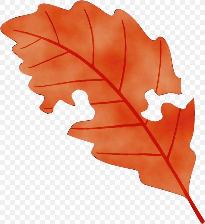 Maple Leaf, PNG, 940x1028px, Watercolor, Black Maple, Deciduous, Leaf, Maple Leaf Download Free