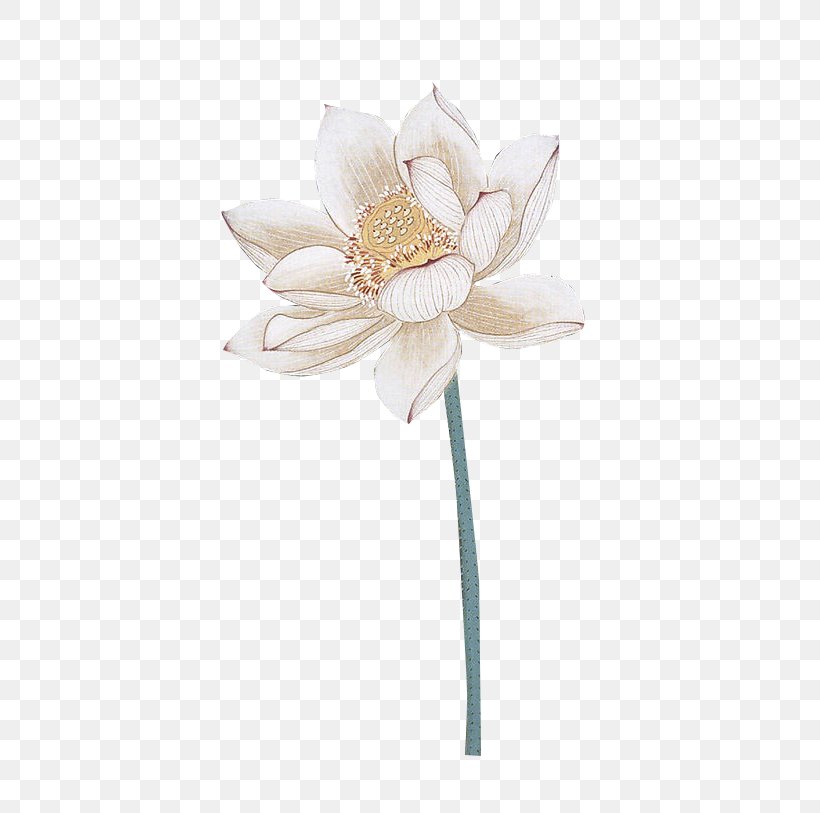Nelumbo Nucifera Lotus Effect Watercolor Painting, PNG, 448x813px, Nelumbo Nucifera, Cut Flowers, Flower, Flowering Plant, Google Images Download Free