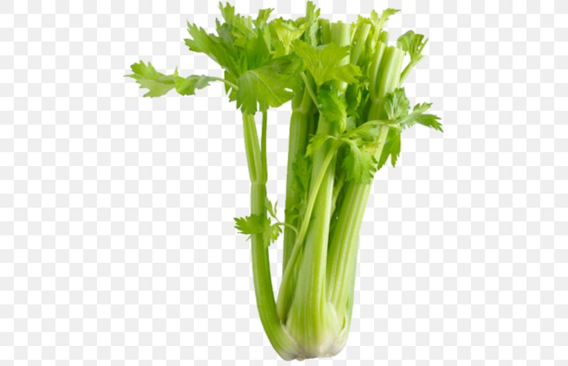 Organic Food Vegetable Celery Salt Health, PNG, 480x529px, Organic Food, Celeriac, Celery, Celery Salt, Cooking Download Free