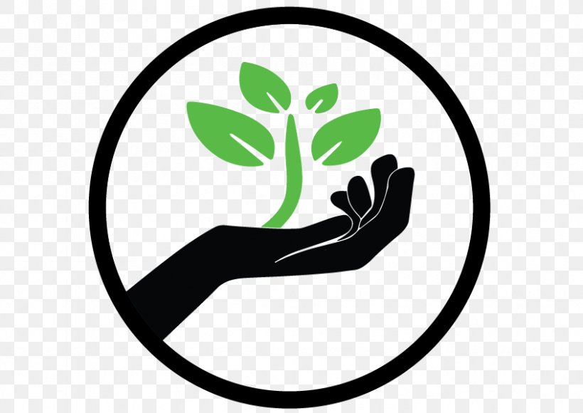 Plant The Seed Education Organization Logo, PNG, 846x599px, Seed, Area, Attitude, Brand, Flower Download Free