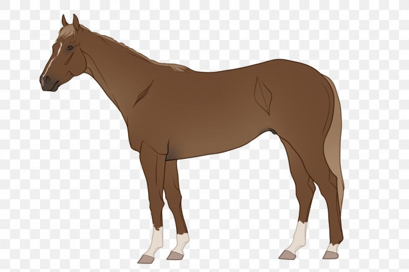 American Quarter Horse Pony American Paint Horse Thoroughbred Equine Coat Color, PNG, 1024x683px, American Quarter Horse, American Paint Horse, Animal Figure, Black, Bridle Download Free