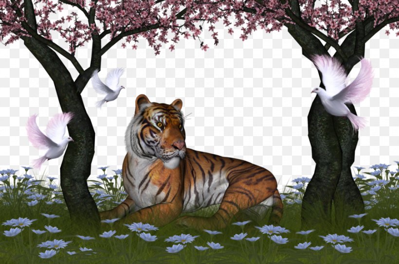 Tiger Wallpaper, PNG, 900x596px, Tiger, Animation, Big Cats, Carnivoran, Cat Like Mammal Download Free