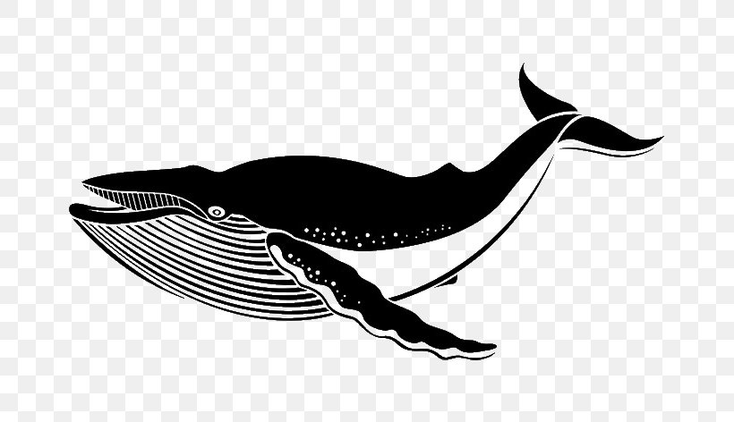 Wall Decal Sticker Blue Whale, PNG, 680x472px, Wall Decal, Beak, Big Blue Whale Big Book, Bird, Black And White Download Free
