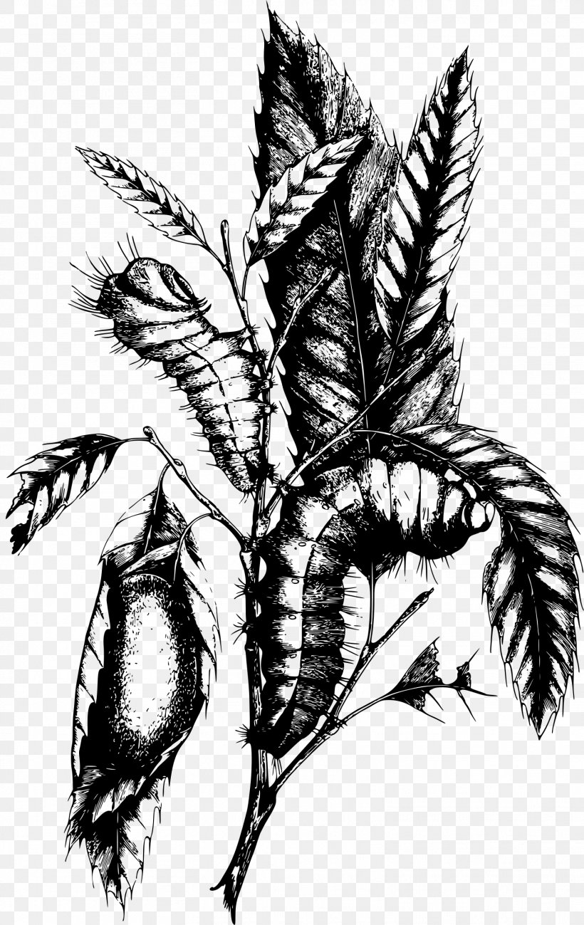 Caterpillar Drawing, PNG, 1514x2400px, Caterpillar, Art, Black And White, Drawing, Flowering Plant Download Free