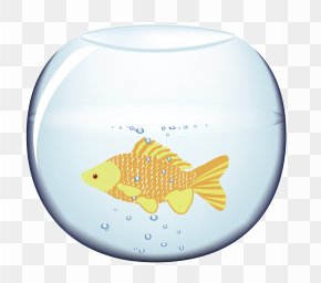Aquarium Fish - Fish Blue Orange Aquarium PNG