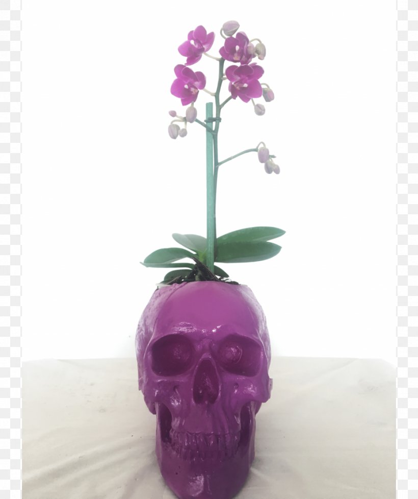 Moth Orchids Vase Artificial Flower, PNG, 930x1110px, Moth Orchids, Artifact, Artificial Flower, Flower, Flowering Plant Download Free
