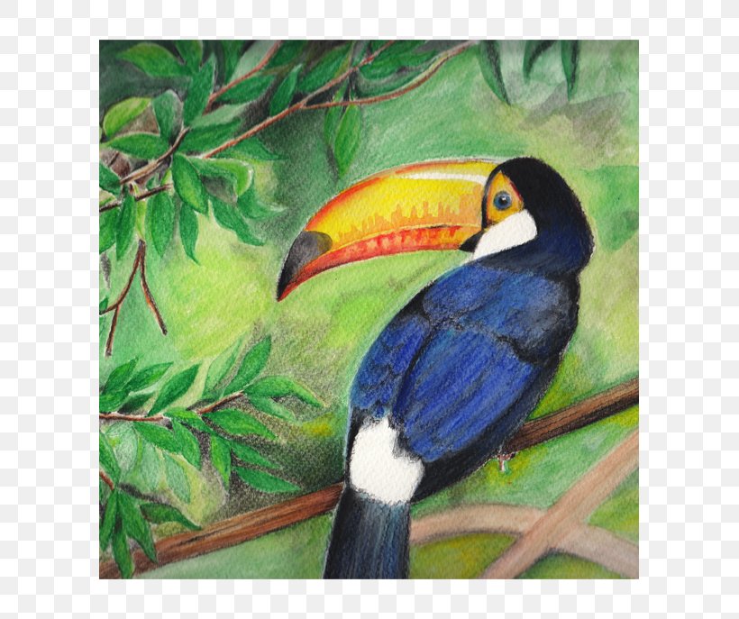 Toucan Painting Beak Fauna Hornbill, PNG, 599x687px, Toucan, Beak, Bird, Fauna, Feather Download Free
