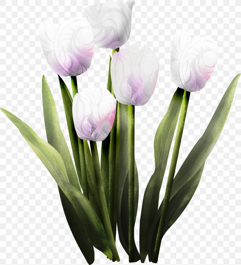 Tulip Flower Clip Art, PNG, 1875x2063px, Tulip, Bud, Crocus, Cut Flowers, Drawing Download Free