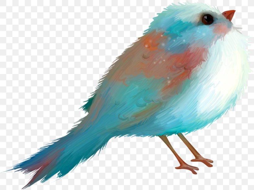 Bird Blue Drawing Turquoise, PNG, 1024x770px, Bird, Beak, Blue, Cartoon, Color Download Free