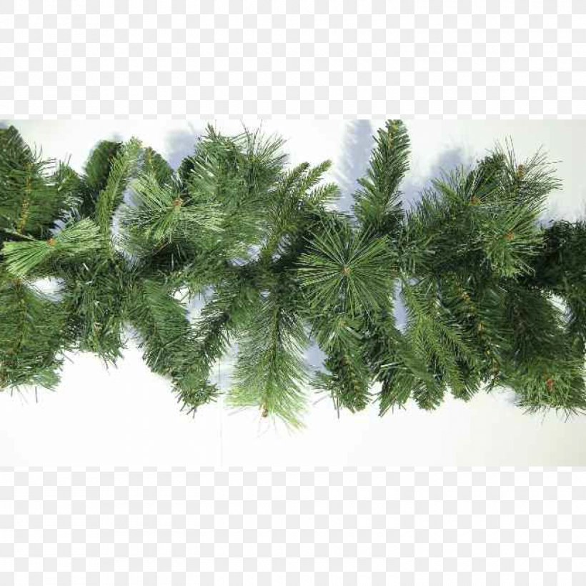 Makalu Christmas Tree Spruce Pine, PNG, 1500x1500px, Makalu, Bonn, Branch, Christmas, Christmas Tree Download Free