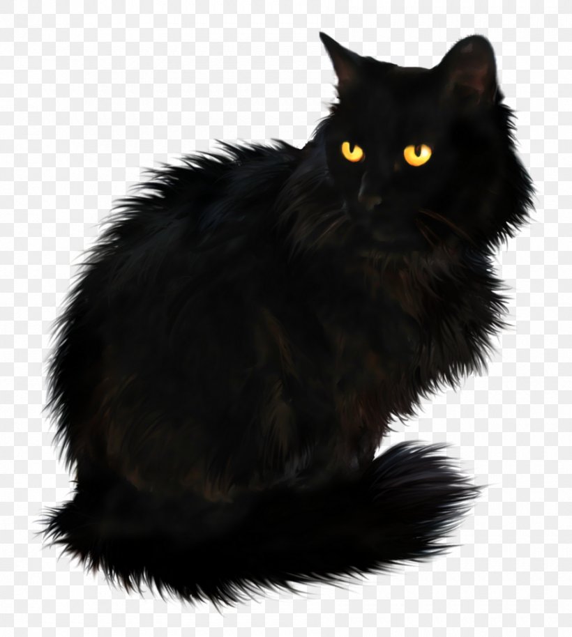 Persian Cat British Longhair Kitten Black Cat, PNG, 900x1004px, Persian Cat, Asian Semi Longhair, Black, Black And White, Black Cat Download Free