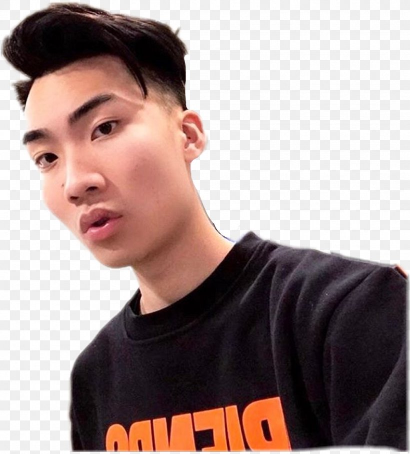 Ricegum