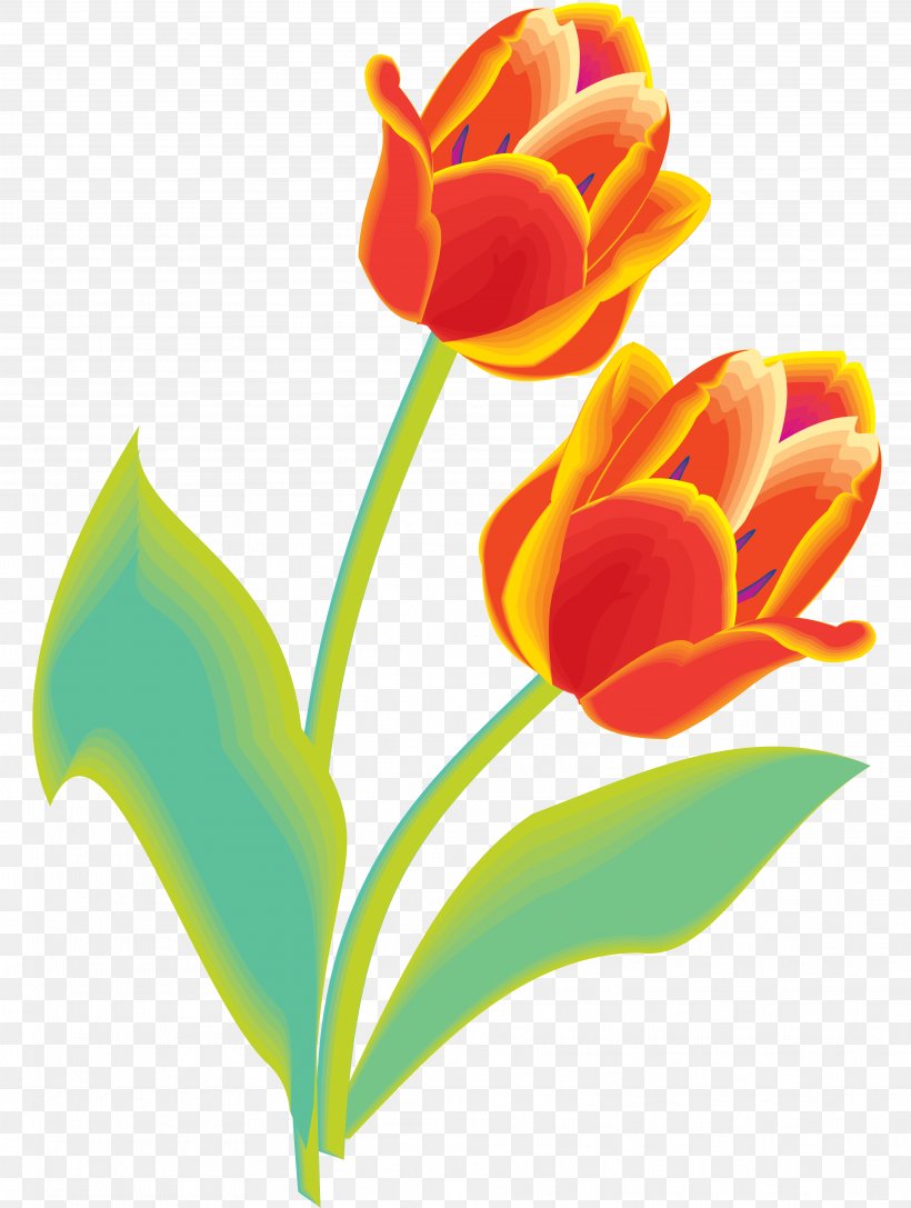 Tulip Cut Flowers Floral Design Clip Art, PNG, 3747x4970px, Tulip, Cut Flowers, Drawing, Floral Design, Floristry Download Free