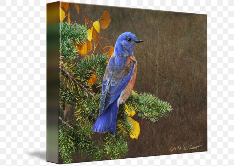 Western Bluebird Painting Fine Art, PNG, 650x583px, Bird, Animal, Art, Artist, Autumn Download Free