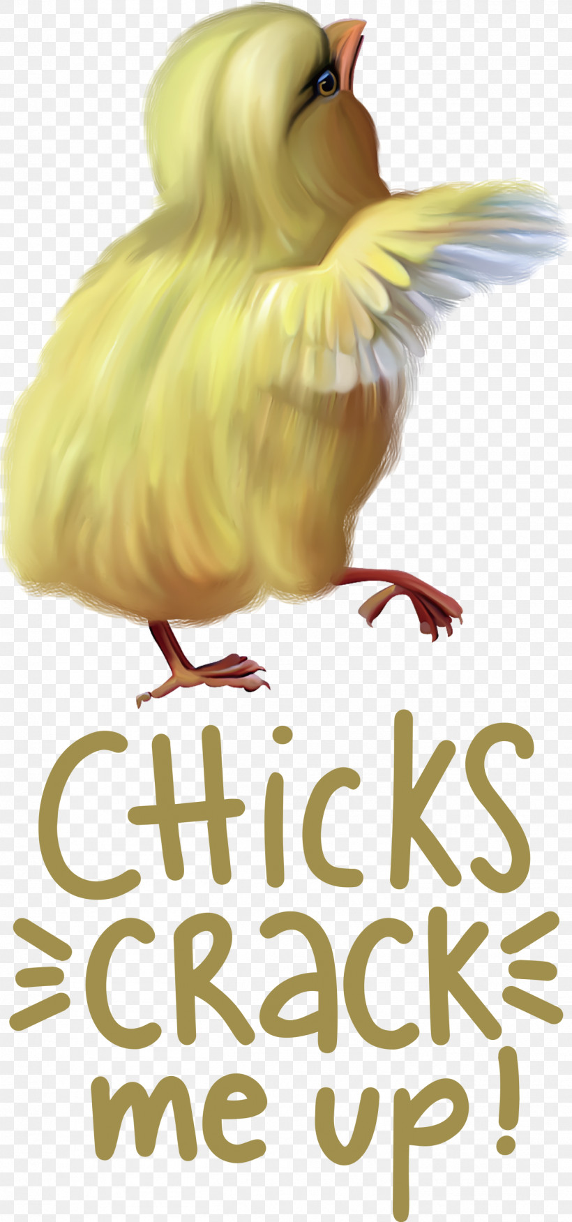 Chicks Crack Me Up Easter Day Happy Easter, PNG, 1404x2999px, Easter Day, Beak, Biology, Birds, Chicken Download Free
