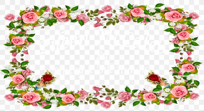 Garden Roses Stock Photography Floral Design Dreamstime Flower, PNG, 827x449px, Garden Roses, Blossom, Cut Flowers, Discounts And Allowances, Dreamstime Download Free