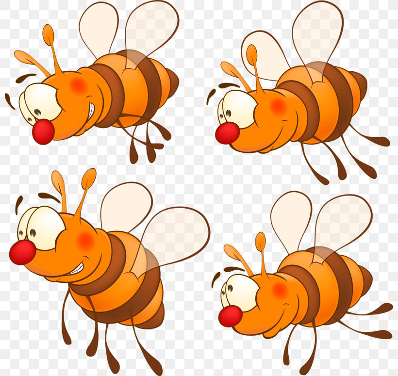 Insect Hornet Honey Bee Bumblebee Drawing, PNG, 800x775px, Insect, Apidae, Apis Florea, Arthropod, Artwork Download Free