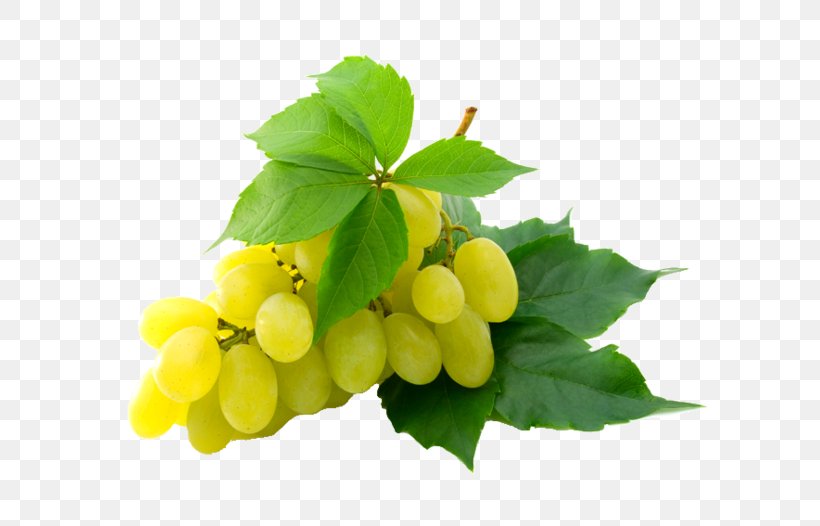 Kyoho Wine Grape Sultana Clip Art, PNG, 699x526px, Kyoho, Berries, Common Grape Vine, Food, Fruit Download Free