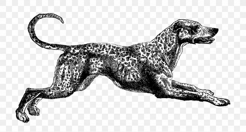Dalmatian Dog Dog Breed Drawing Spaniel Clip Art, PNG, 1600x861px, Dalmatian Dog, Animal Figure, Black And White, Breed, Canidae Download Free