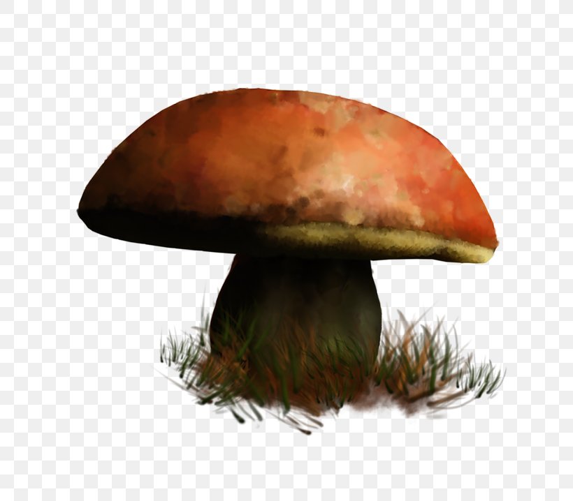 Edible Mushroom Food Hot Pot Fungus, PNG, 800x718px, Edible Mushroom, Birthday, Food, Fungus, Hot Pot Download Free