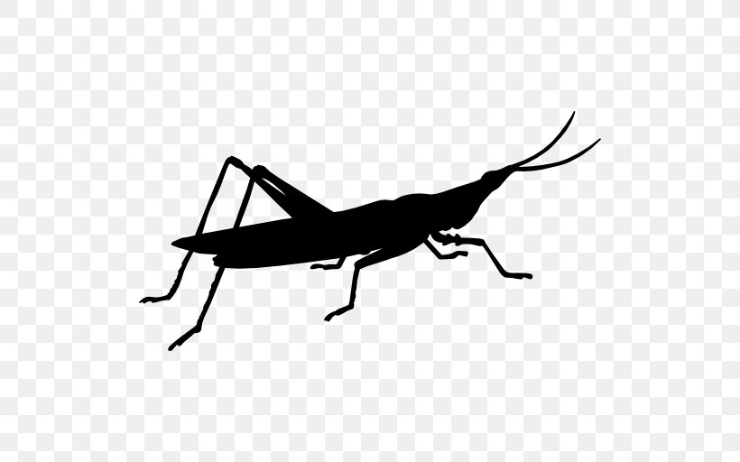 Grasshopper Insect Locust Cricket Symbol, PNG, 512x512px, Grasshopper, Animal, Arthropod, Black And White, Caelifera Download Free