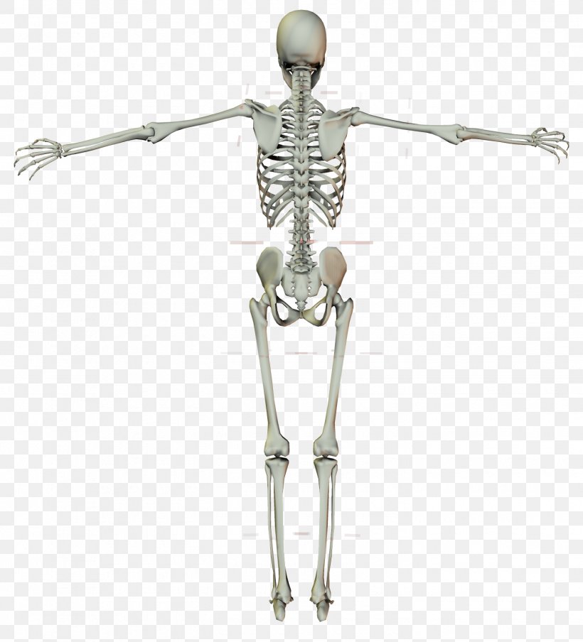 Human Skeleton Crucifix Cross, PNG, 1450x1600px, Skeleton, Arm, Bone, Cross, Crucifix Download Free