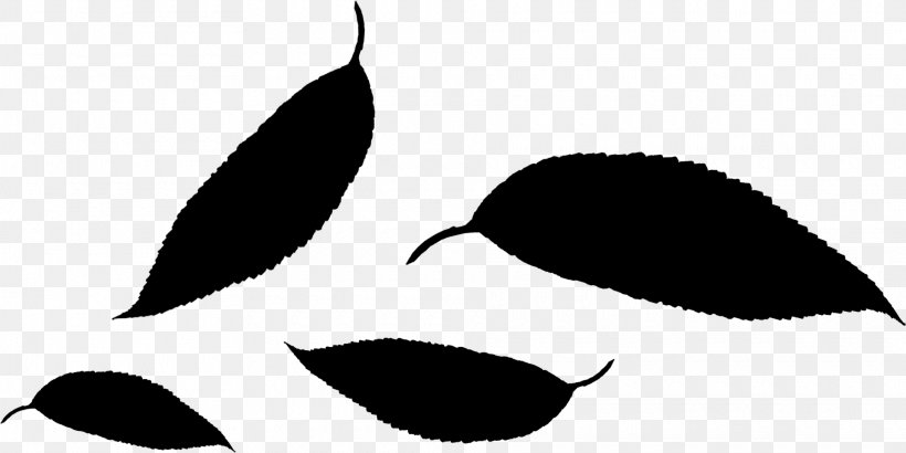 Nose Black & White, PNG, 1920x961px, Nose, Black M, Black White M, Eye, Face Download Free