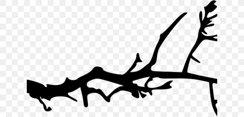Tree Branch Silhouette, PNG, 641x396px, Branch, Blackandwhite, Drawing, Leaf, Line Art Download Free