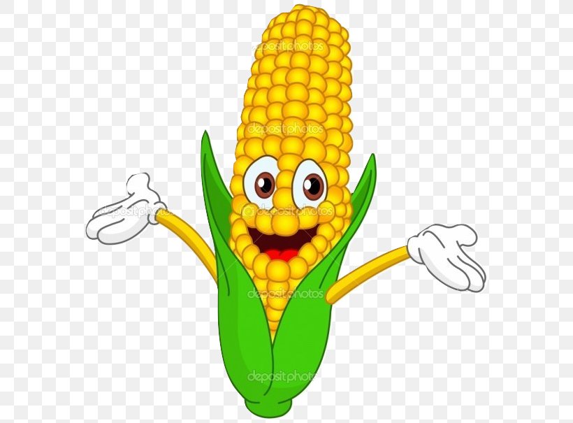 Corn On The Cob Maize Sweet Corn Cartoon, PNG, 593x605px, Corn On The Cob, Cartoon, Commodity, Cuisine, Drawing Download Free