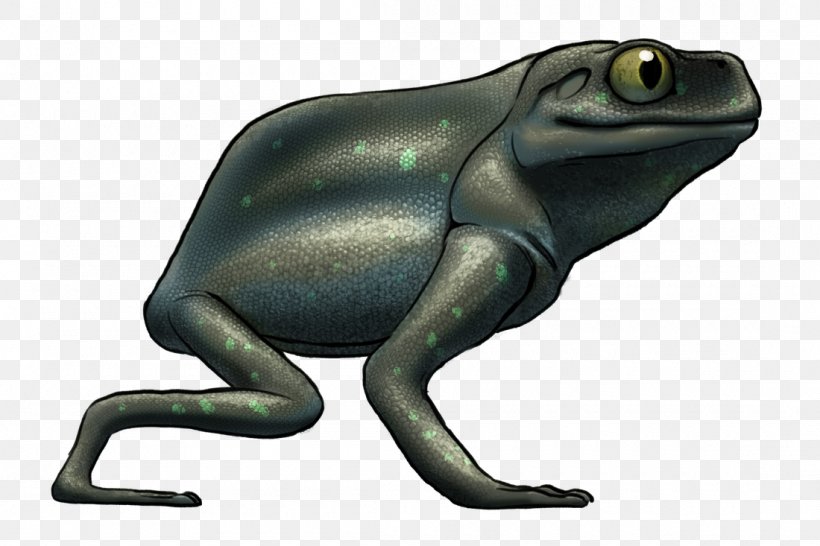 Toad Tree Frog True Frog Frogget, PNG, 1100x733px, Toad, Amphibian, Animal, Body Plan, Devil Frog Download Free