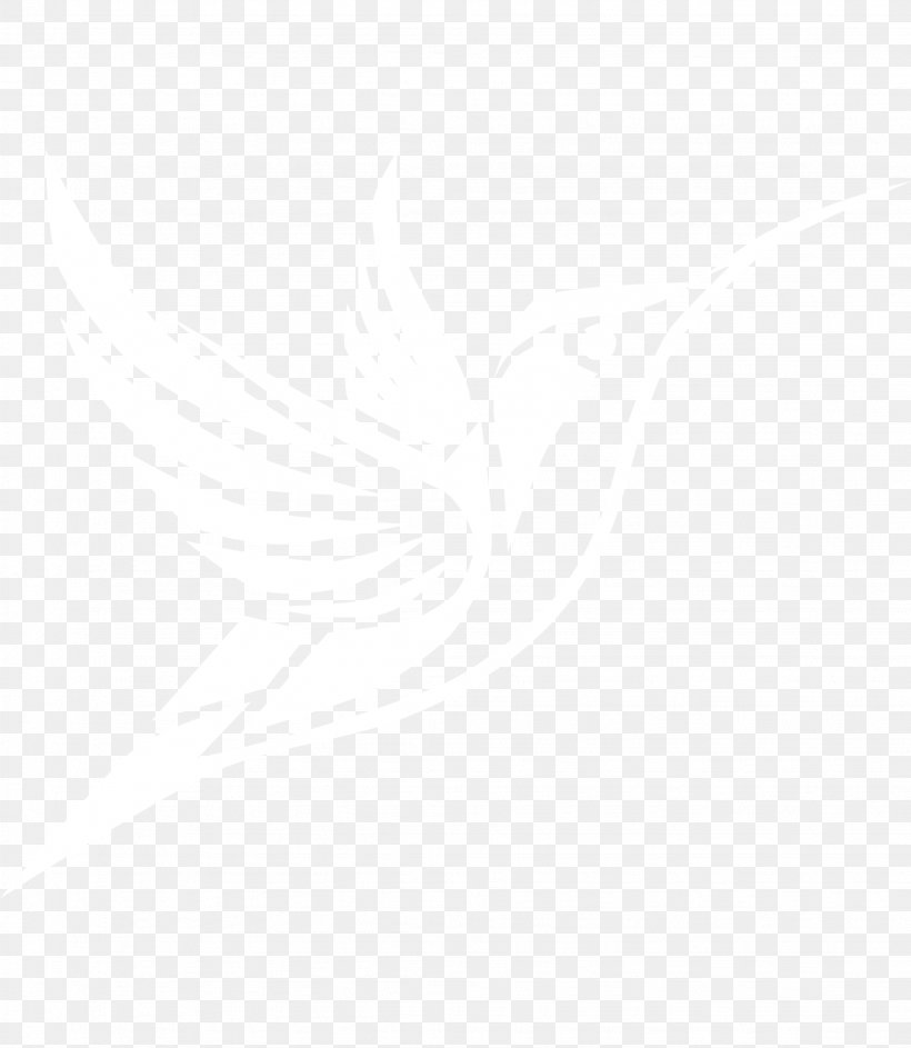 United States Logo Manly Warringah Sea Eagles Lyft Organization, PNG, 2053x2362px, United States, Industry, Logo, Lyft, Manly Warringah Sea Eagles Download Free