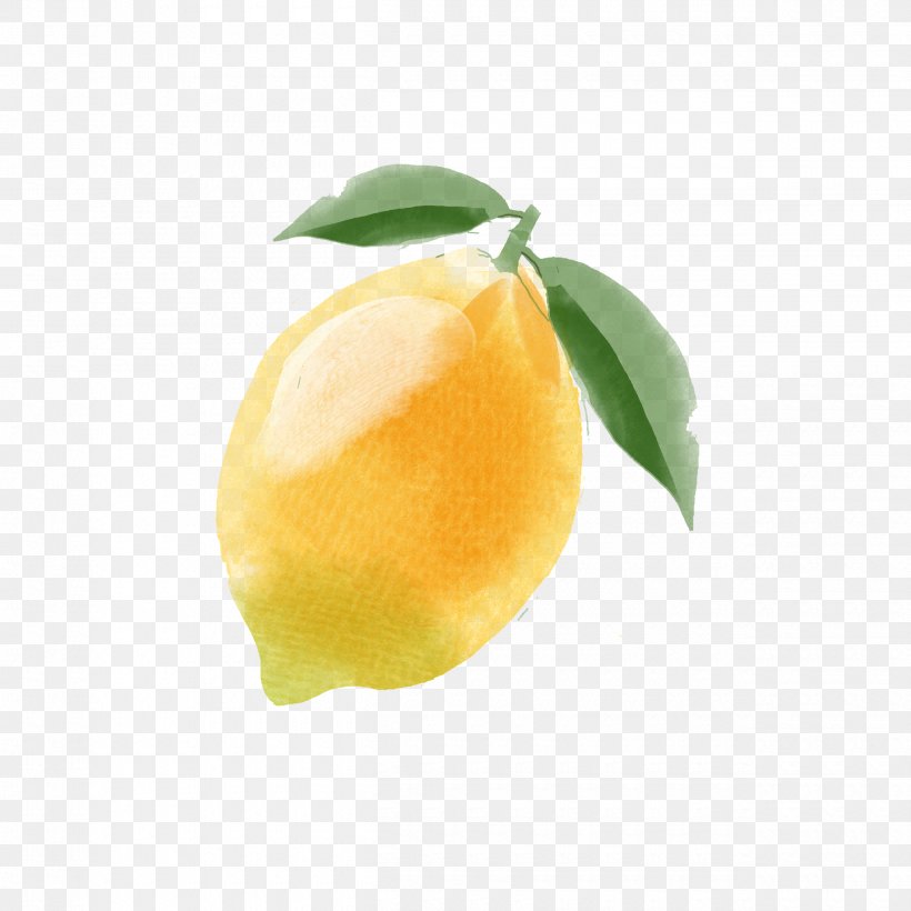 Lemon Citron Citrus Junos Yellow, PNG, 2500x2500px, Lemon, Auglis, Citric Acid, Citron, Citrus Download Free