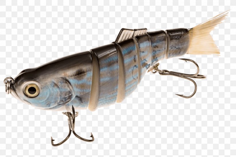 Sardine Spoon Lure Oily Fish Mackerel Perch, PNG, 1000x667px, Sardine, Ac Power Plugs And Sockets, Bait, Fish, Fishing Bait Download Free