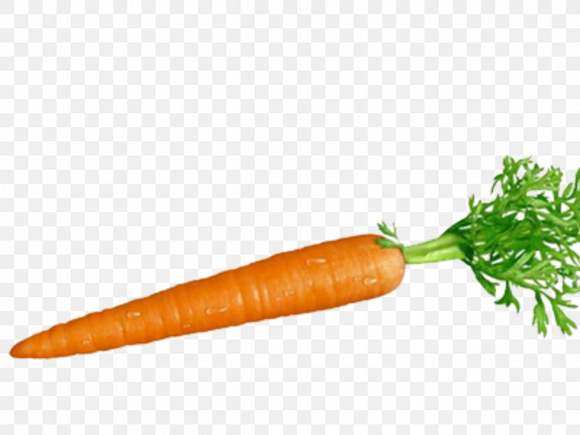 Carrot And Stick Root Vegetables Food, PNG, 1200x900px, Carrot, Baby Carrot, Bockwurst, Carrot And Stick, Color Download Free