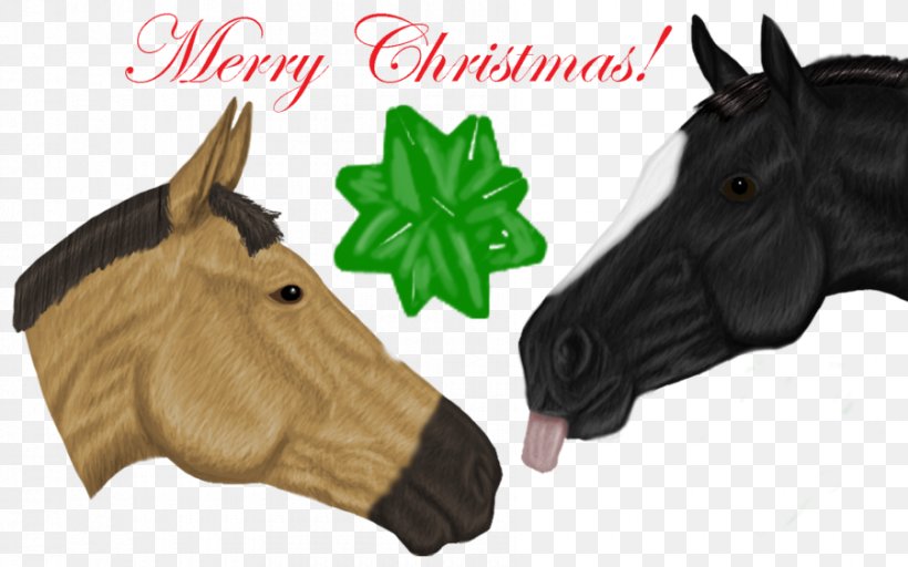Christmas Outerwear Snout Fur Sadio Mané, PNG, 900x563px, Christmas, Fur, Horse, Horse Like Mammal, Horse Tack Download Free
