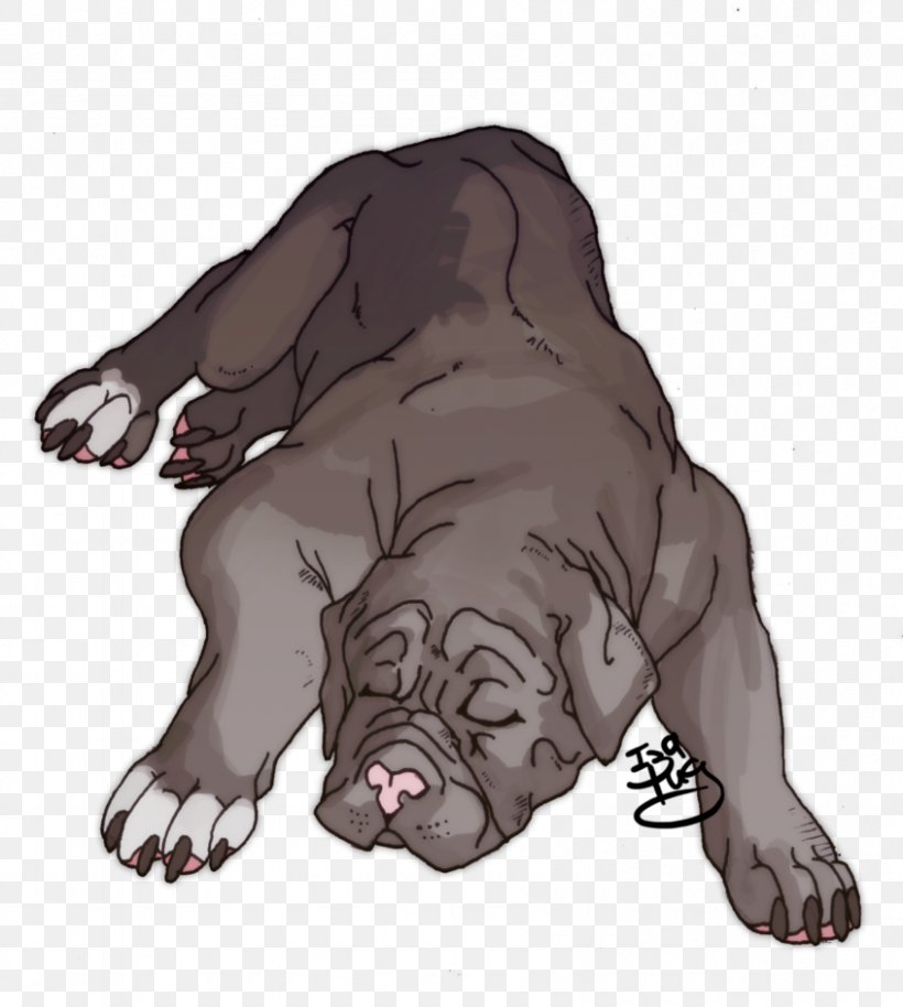 Dog Breed Pug Puppy Non-sporting Group Bear, PNG, 846x944px, Dog Breed, Bear, Breed, Carnivoran, Cartoon Download Free