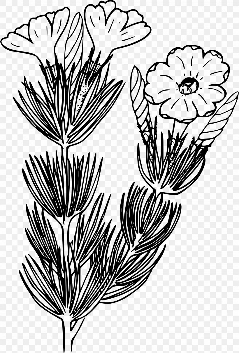 Line Art Drawing Flower Clip Art, PNG, 1628x2400px, Line Art, Art, Black And White, Branch, Drawing Download Free