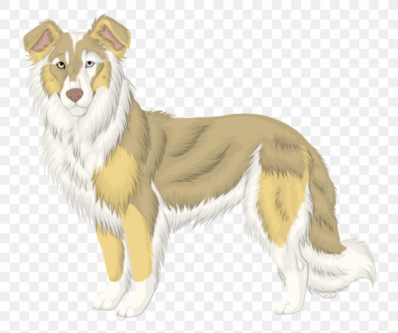 Rough Collie Dog Breed Companion Dog, PNG, 978x817px, Rough Collie, Breed, Carnivoran, Collie, Companion Dog Download Free