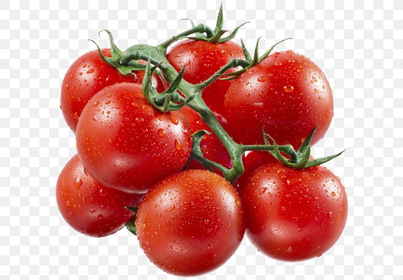 Cherry Tomato Vegetable Gazpacho Heirloom Tomato, PNG, 600x570px, Cherry Tomato, Acerola, Acerola Family, Brandywine, Bush Tomato Download Free