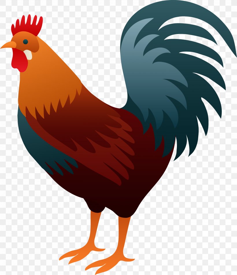 Chicken Rooster Clip Art, PNG, 5822x6773px, Chicken, Animation, Beak, Bird, Blog Download Free